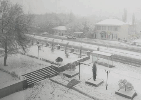 Bu rayonlara qar yağır