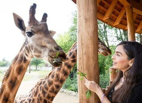Leyla Əliyeva Berlin zooparkında – Foto