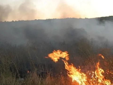Qızılağac Milli Parkının ərazisində yanğın olub