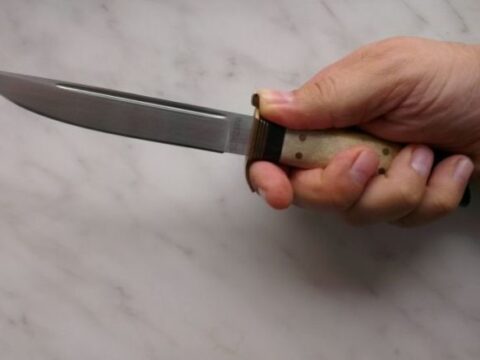 Bu bıçaqların satışı qadağan olunsun-Təklif