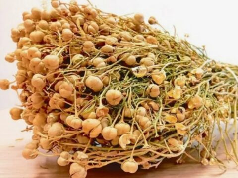 Üzərlikdən istifadə məhdudlaşdırılacaq? Üzərlikdən istifadə məhdudlaşdırılacaq?