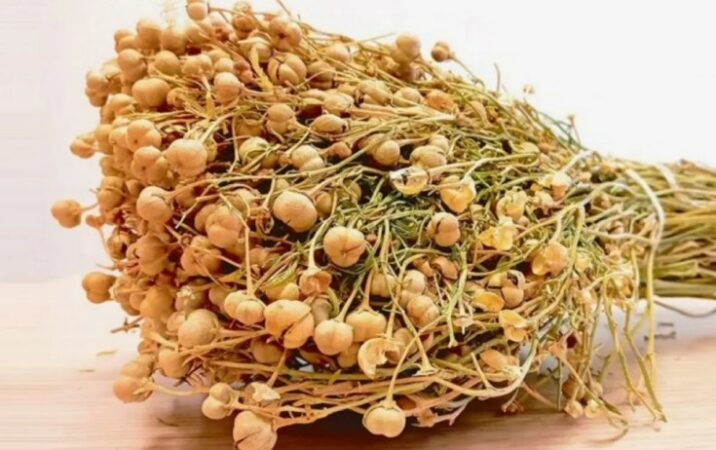 Üzərlikdən istifadə məhdudlaşdırılacaq?