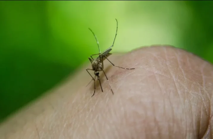 Çində təhlükəli virus yayıldı: Bir aya minlərlə insan yoluxub