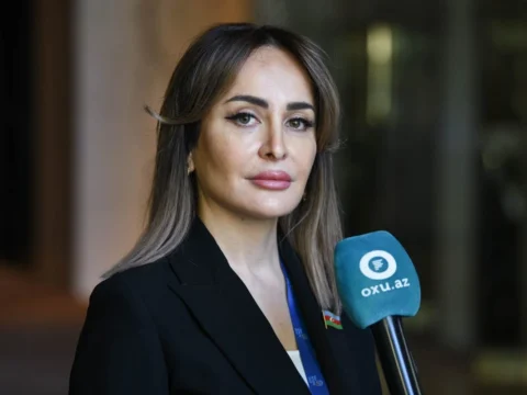 Deputat: “Yeni qanun layihəsi qəbul olunandan sonra boşluqlar aradan qalxacaq”