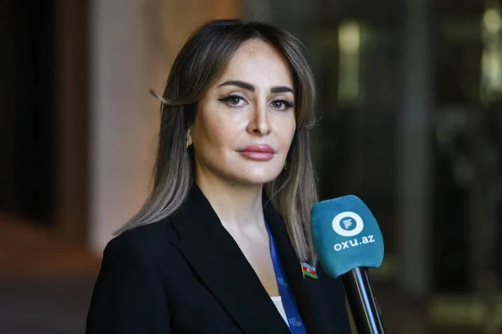 Deputat: “Yeni qanun layihəsi qəbul olunandan sonra boşluqlar aradan qalxacaq” Deputat: “Yeni qanun layihəsi qəbul olunandan sonra boşluqlar aradan qalxacaq”