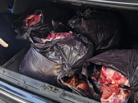 At ətinin mal əti adı ilə satışa çıxarılmasının qarşısı alındı