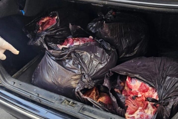 At ətinin mal əti adı ilə satışa çıxarılmasının qarşısı alındı