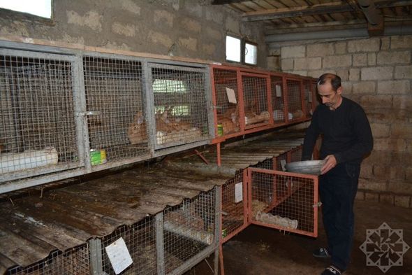 Dovşan ili dovşançılıq təsərrüfatları üçün nə ilə yadda qaldı?