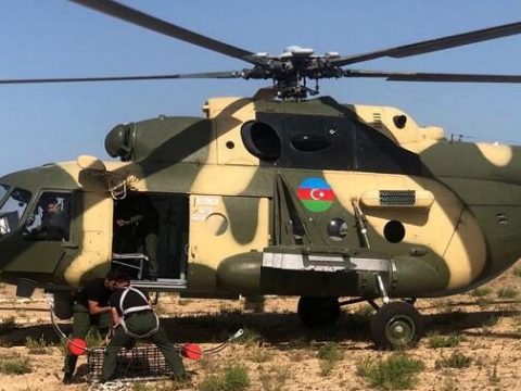 Azərbaycan və Türkiyədən birgə hərbi təlim