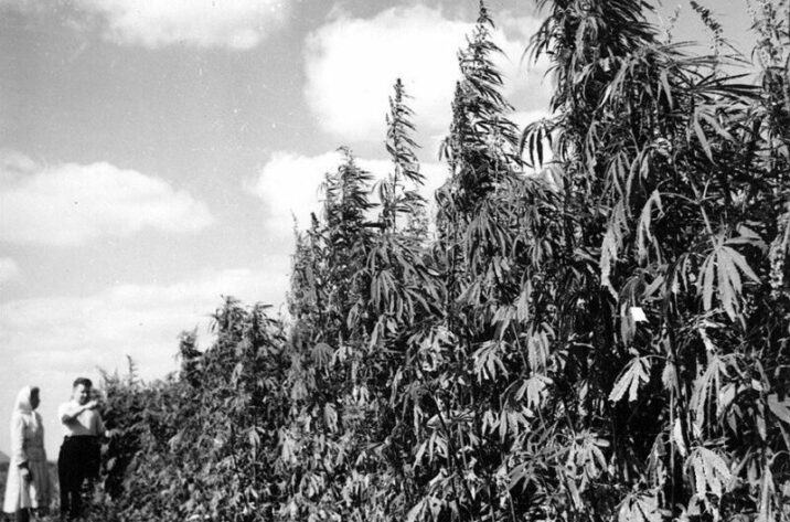 Qırmızı ölkənin “ağ ölüm” faktları – sovet liderlərinin gizlətdiyi STATİSTİKA